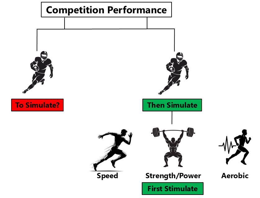 To Simulate or Stimulate? That is the Question!